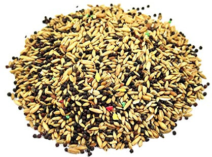 ANTHILLSHOP Mangime per formiche┃ 100 gr di Semi Tipo 2 per formiche Regine mangiatori di granuli┃ Colonia di formiche -Formicaio