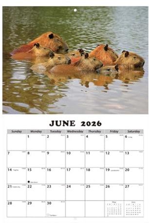 Calendario De Pared 2026 | Ilustraciones De Animales En Inglés - Calendario Mensual 12 Meses Para Colgar,para Aula Comedor Dormitorio Sala de Estar Estudiantes