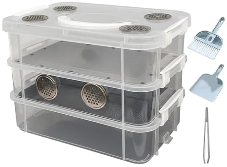Worm Farm - Scatola per allevamento di vermi della farina, resistente agli odori, per lombrichi, rettili, animali domestici