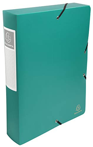 Exacompta 59883E - Carpeta de proyecto con goma, color verde