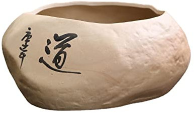 XIALON Macetas creativas de cerámica para espárragos para el hogar