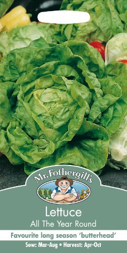 Mr Fothergill's 13534 Vegetable Seeds, Green