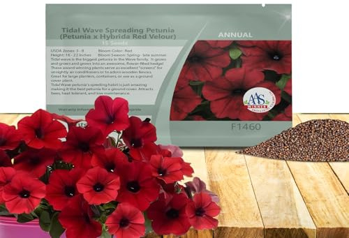 Outsidepride Red Velour Tidal Wave Petunia Seeds - 15 Pcs Annual, Vibrant Blooms, Spreading Petunia Seeds for Planting Outdoors, Ideal for Pollinator-Friendly Garden Beds & Containers (AAS Winner)