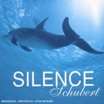 Silence - Franz Schubert (1797-1828)