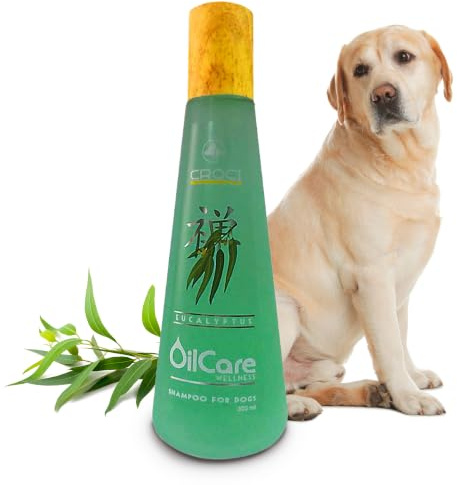 CROCI oilcare Wellness Shampoo, 300 ml