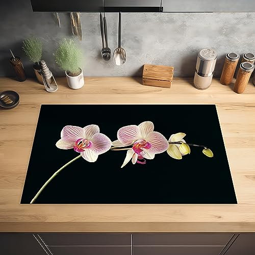 MuchoWow© Herdabdeckplatte Ceranfeld Spritzschutz Küche Orchidee