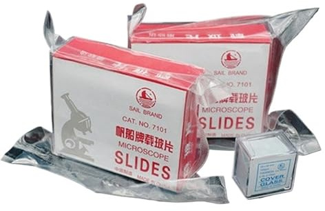 Lames de Microscope 100 pièces et 100 pièces de Verre de Couverture for la préparation des échantillons de Lames de Microscope, lamelles de Couverture en Verre, lancette (Color : Lancet 50pcs)