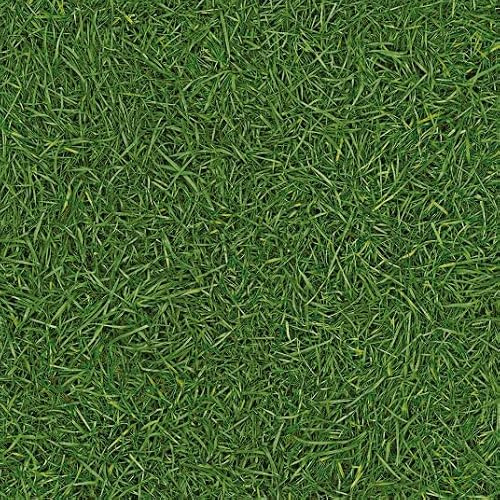 Sol Vinyle Nature - Imitation Gazon - 2m x 3.00m