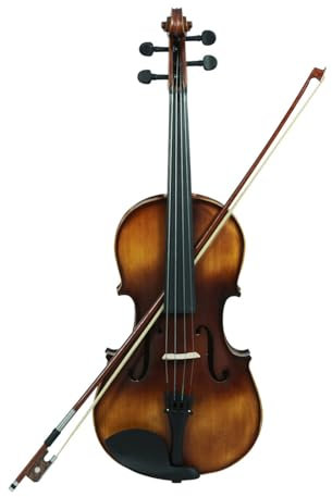 VOCUE 4/4 Akustische Bratsche mit Schleifen Massivholzplatte Natur Viola Saiten Musikinstrument Vintage Matte Viola Enduring