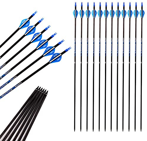 ACCMOS 30 Zoll Bogenschießen Carbonpfeil Spine 340 ID 6,2 mm Blauer Explosionsgeschützter Ring, für Erwachsene Jugend Recurve Compoundbogen Jagd Schießen 12 St (Spine 340, 30inch)