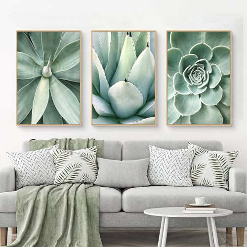 Uixxducc 3er Set Premium Poster Set, Bilder Set Pflanzen Blätter Kaktus, Moderne Grüne Pflanzen Wandbilder Wandeko für Wohnzimmer Schlafzimmer, ohne Bilderrahmen (ABC,50x70cm)