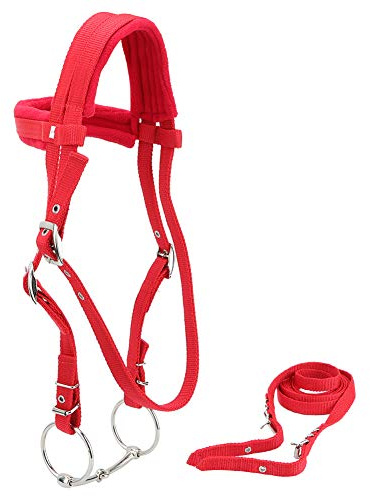 AKLOSIPY Brida de Caballo Roja con Cojín Suave y Filete Extraíble para Mayor Comodidad y Durabilidad.
