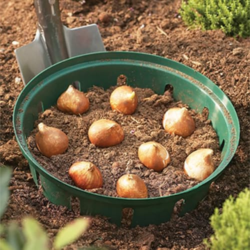 YouGarden Round Bulb Baskets, Set of Three 26cm Baskets, Bulb Planting Kit for Gardeners, Supplied as Three Oval Bulb Planting Baskets