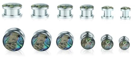 ANAZOZ Tunnel 6mm-16mm, Edelstahl Ohr Flesh Plug 12er Set Ohr Piercing Herren, Ohr-Stretching Ohrringe Silber