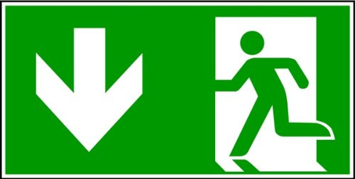 H.Klar Schild PVC Notausgang E001 + E005, langnachleuchtend 200x400mm