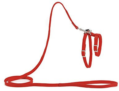 Beeztees 730421 Nylon Katzengeschirr, 130 x 10 cm, rot