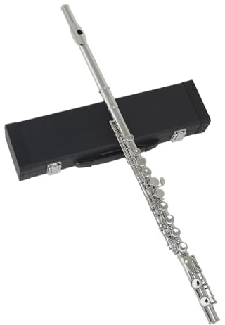 Flöte 16 Geschlossene Offene Löcher C-Taste Professionelles Querflöten-Konzertmusikinstrument Mit Box-Stoffhandschuhen