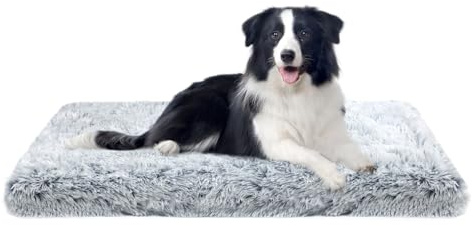 MDDK DY Large Dog Bed 100x60x10cm, Extra Thick Orthopedic Egg Crate Mat, Non-Slip Washable Dog Cushion for Big Breeds, Durable Plush Support for Labrador, German Shepherd,Grey