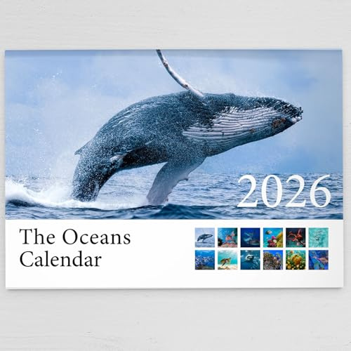 2026 The Oceans Wall Calendar Featuring Beautiful Imagery Of Animals Throughout The Worlds Oceans - Includes All UK & World Holidays & Dates Included | Perfect Christmas Calendar for the Home, Office