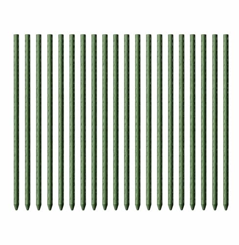 Toboli 20x Pflanzstäbe grün 60 cm Ø 8 mm Rankstäbe aus Metall und Kunststoff, Pflanzstangen für Tomaten und Kletterpflanzen