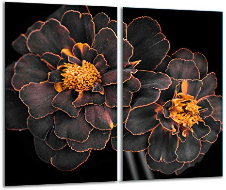 TMK ArtDeko Herdabdeckplatte 2 Teilig 30x52 cm - Spritzschutz Herdabdeckung – Herdschutz aus Sicherheitsglas – Robust, Hygienisch & Rutschfest– Schutz für Induktion, Ceran, Gas & Elektro