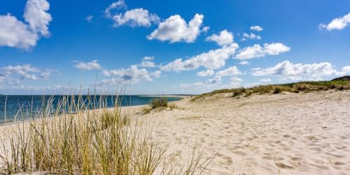 Magnettafel Pinnwand XXL Magnetbild Sand Strand Düne Meer Größe 120 x 60 cm