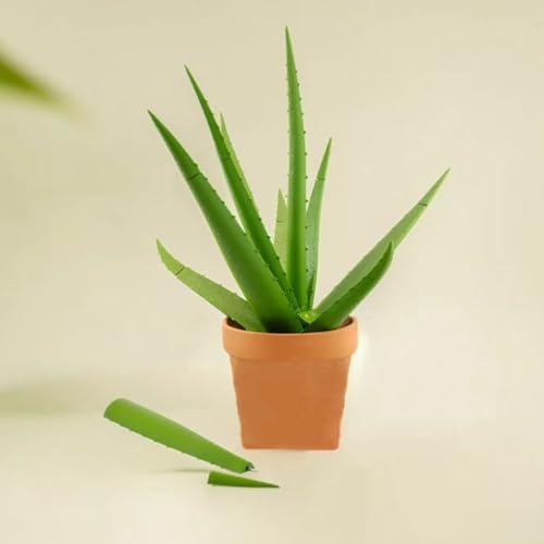 Yacriso Pianta con Penna di Aloe Vera Stampata in 3D, Penne magnetiche con Aloe Vera, Ogni Stelo è Una pianta d'appartamento Finta con Penna per Le Persone Che Non riescono a Mantenere in Vita Le (B)