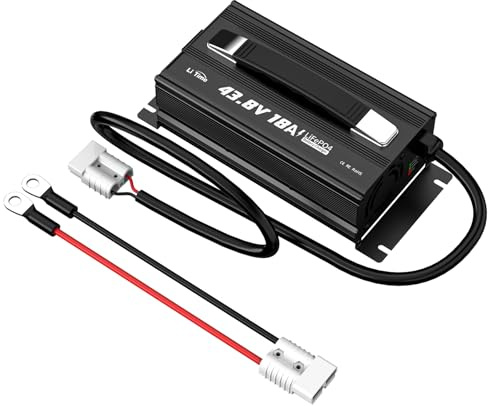 LiTime 43.8V 18A Caricabatteria al Litio per 38.4V LiFePO4 Batteria, AC-DC Smart Charger con 50A Connettore Anderson, indicatore LED, Protezione di Sicurezza Multipla per carrello da Golf