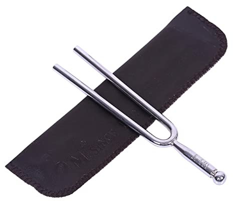 TOYANDONA Diapason Standard Acier Fourchette Musicale Précise Pour Instruments à Cordes Réglage Tonal Pratique Avec Étui De Protection Pour Musiciens Et Enseignants