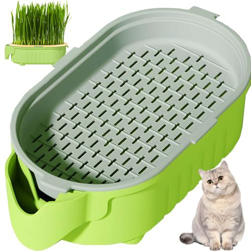 3-Level Hydroponic Cat Grass Planter Box - Ideal for Indoor Cats, No Seeds or Catnip Included