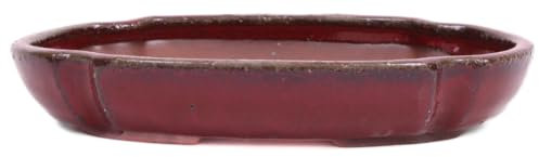 Bonsai-Shopping Bonsai - Schale, Waldschale, oval 21.5 x 14.5 x 3.8 cm Bordeaux 51347