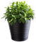 KADAX Pot de Fleurs en Plastique avec Soucoupe Incorporée, Pot de Plantes avec Conception Raffinée pour la Décoration d'Intérieur (25 cm, Noir)