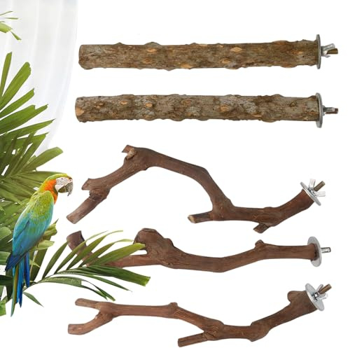 Sittpinnar för hålor, 5 stycken träleksaker för fågelbur och lekbur, stående sittpinnar | för fågelbur: Conures, kalopsiter, vågiga parakider, kragparakier,