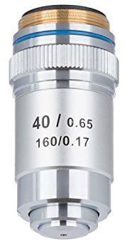 AmScope Objetivo del microscopio acromático A40X-V300 40X (resorte) para microscopios compuestos