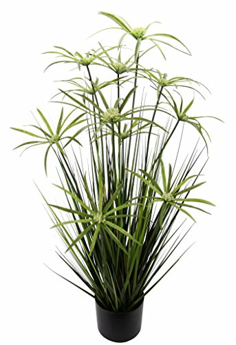 Flair Flower Zyperngras im Topf Katzengras Grasbusch Gras Ziergras Dekopflanze künstliches Zyperngras Cyperus Topfpflanze Grünpflanze Kunstpflanze Künstliche Dekopflanze Staude