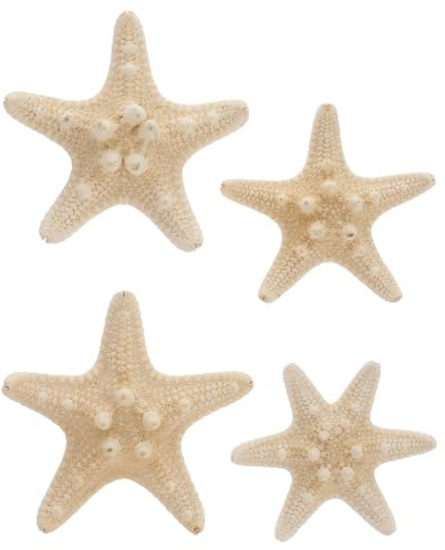 Amosfun Natürliche Seestern Deko 8X8X3Cm 4 Stück Für Aquarium Heimdekoration Strand Hochzeit Ornamente