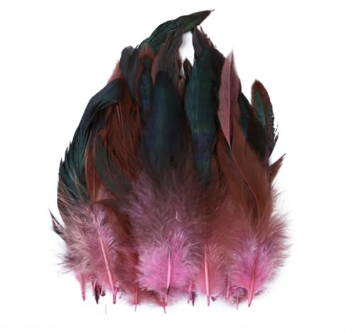 Anevous 100 Stück Bastelfedern, 14-20cm Hahnenfeder, DIY Fasanenfeder Deko Feder zum Basteln Dekorationen Federn für DIY Basteln Hochzeitsfest Ostern Dekoration, Kopfschmucksfedern,Pink