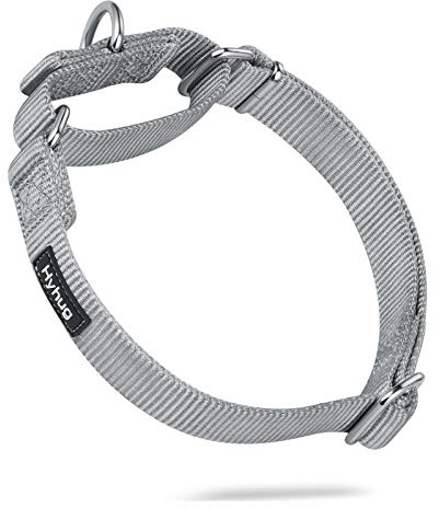 Hyhug kraftig nylon anti-flykt martingal hundhalsband för stora medelstora små pojkar och flickor hundar - promenadträning daglig användning. (stor, Sleet grå)