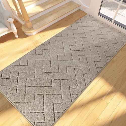 FCSDETAIL Schmutzfangmatte Innen 80 x 178 cm, rutschfeste Fußmatte, waschbar Sauberlaufmatte, absorbierend Fussmatte, Läufer Teppich für Hund, Eingang, Haustür, Flur, Küchen