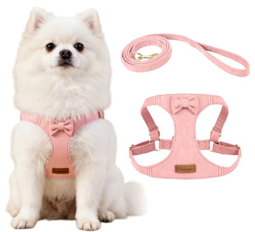 XFSRG Arnes Perro Antitirones Antiescape Anillos de Pecho y Espalda Ajustable con Correa para Perro Pequeños Gatos y Cachorros(Rosa/XXS)