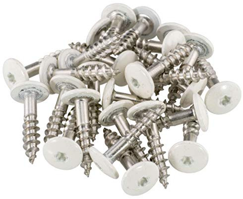 Fassadenschrauben 5,5 x 25 mm - RAL 9010 - Reinweiß TX20-100 Stück Edelstahl A4