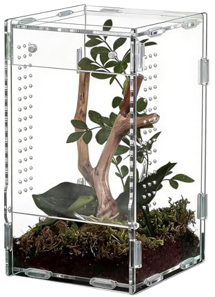 Reptilhölje Habitat, Akryl Front Terrarium, Jumping Spider Habitat med Ventilation, Transparent Terrarium Box, Avel Observation Container för Vardagsrum Sovrum Kontor Djuraffär observation