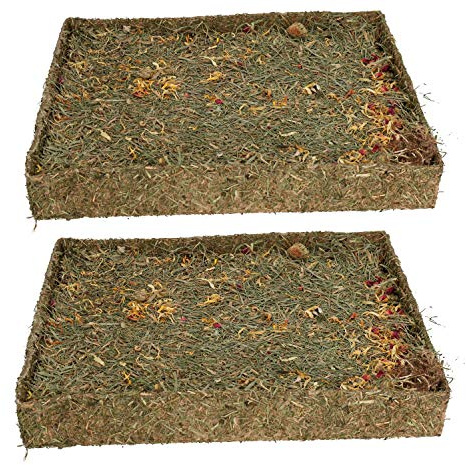 AB Tools Kleintier-PET behandeln Kaninchen Meerschweinchen Knabbern 'N' dig Wiese