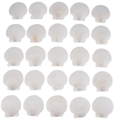 Buhdjfnke Lot de 25 grands coquillages Saint-Jacques pour décoration de fête sur la plage - Blanc - 10,2 à 12,7 cm