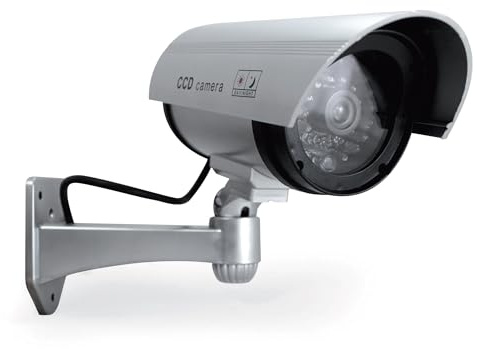 Avidsen - Caméra de Surveillance factice avec Voyant Lumineux 123054