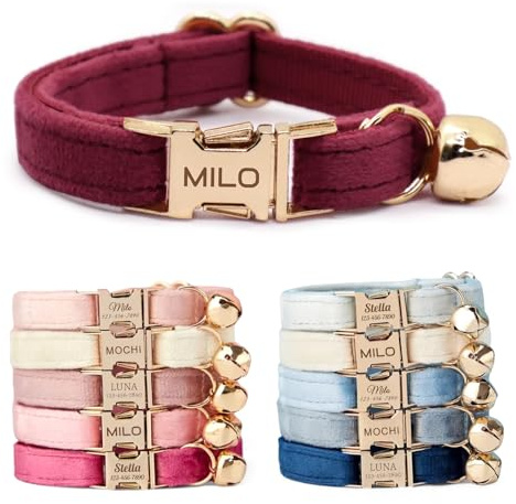 CHRYMPETIC Nicht Abnehmbares Samt Katzenhalsband Personalisiert mit Namen - Personalisierbares Halsband mit Glöckchen und Fliege Verfügbar (Weinrot) | Gravierter Name und Telefonnummer, weiches Samt-Finish, Glocke und Fliege erhältlich