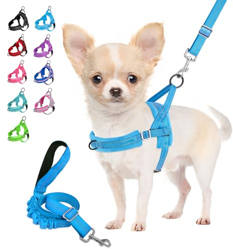 Eyein Hundegeschirr mit Leine für mittelgroße Kleine Hunde, Leichtgewicht | Weich Gepolstert & Reflektierend No-Pull Brustgeschirr mit 2 Leinenclips, verstellbar an Hals & Brust (Hellblau, XXS)