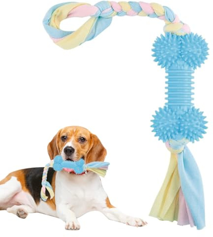 Jouet dentaire à mâcher moyen, Os de Chien en Caoutchouc Durable pour mâchoires puissantes, pour les chiens de très petite taille (jusqu’à 7kg), mâchouilleurs modérés/paisibles