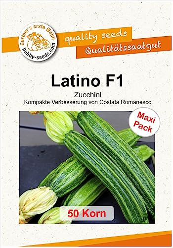 Latino F1 Zucchinisamen von Bobby-Seeds, 50 Korn