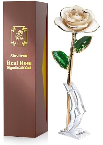 Sinvitron Gold Dipped Infinity Rose Forever Flower Decor, Resin Preserved Real Rose Birthday Gift for Women, Anniversary Present for Mom (Ivory White)